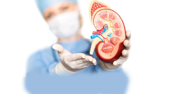 Kidney Doctor in Dubai